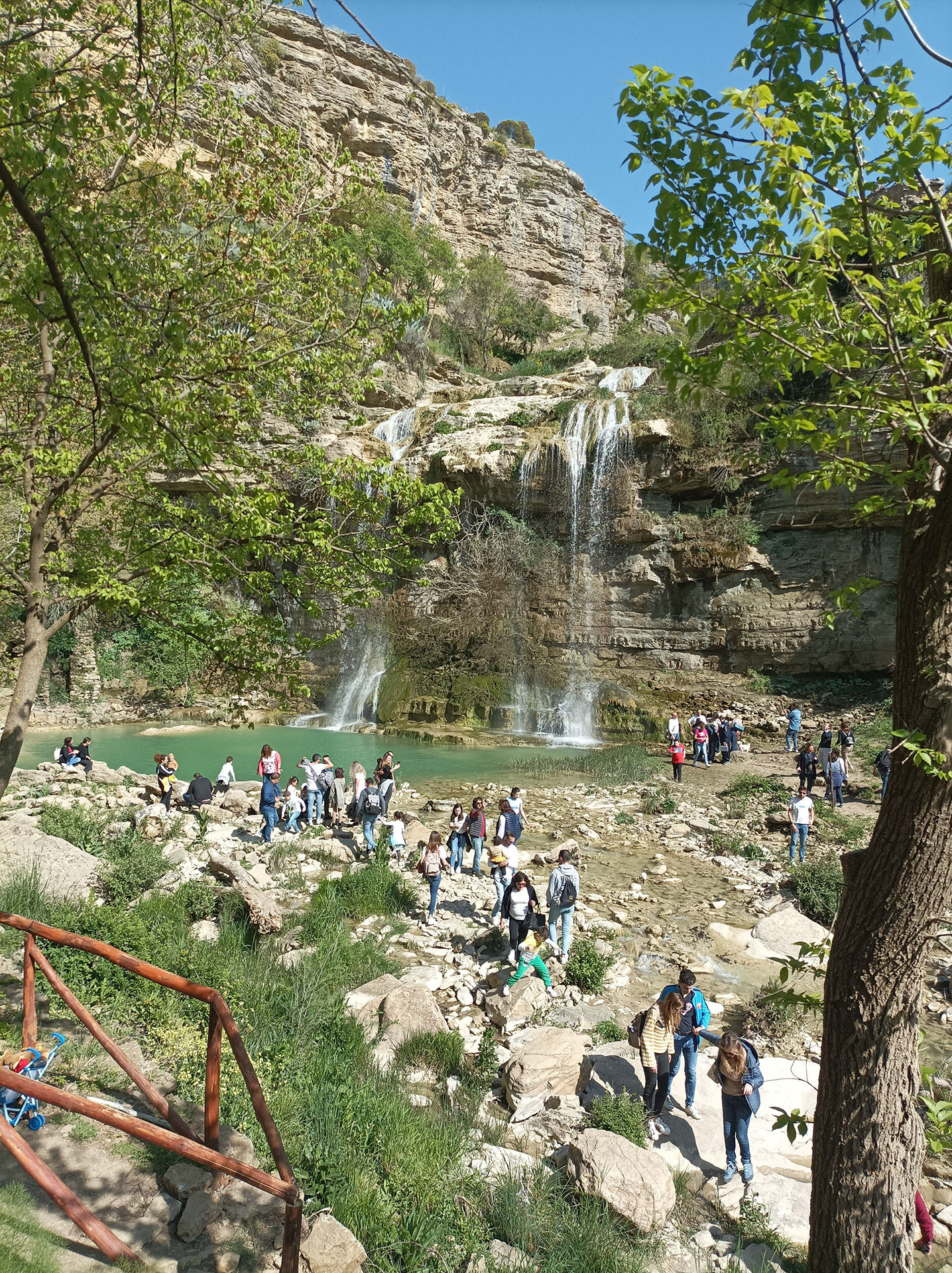 IMG_20230423_160541.jpg - 