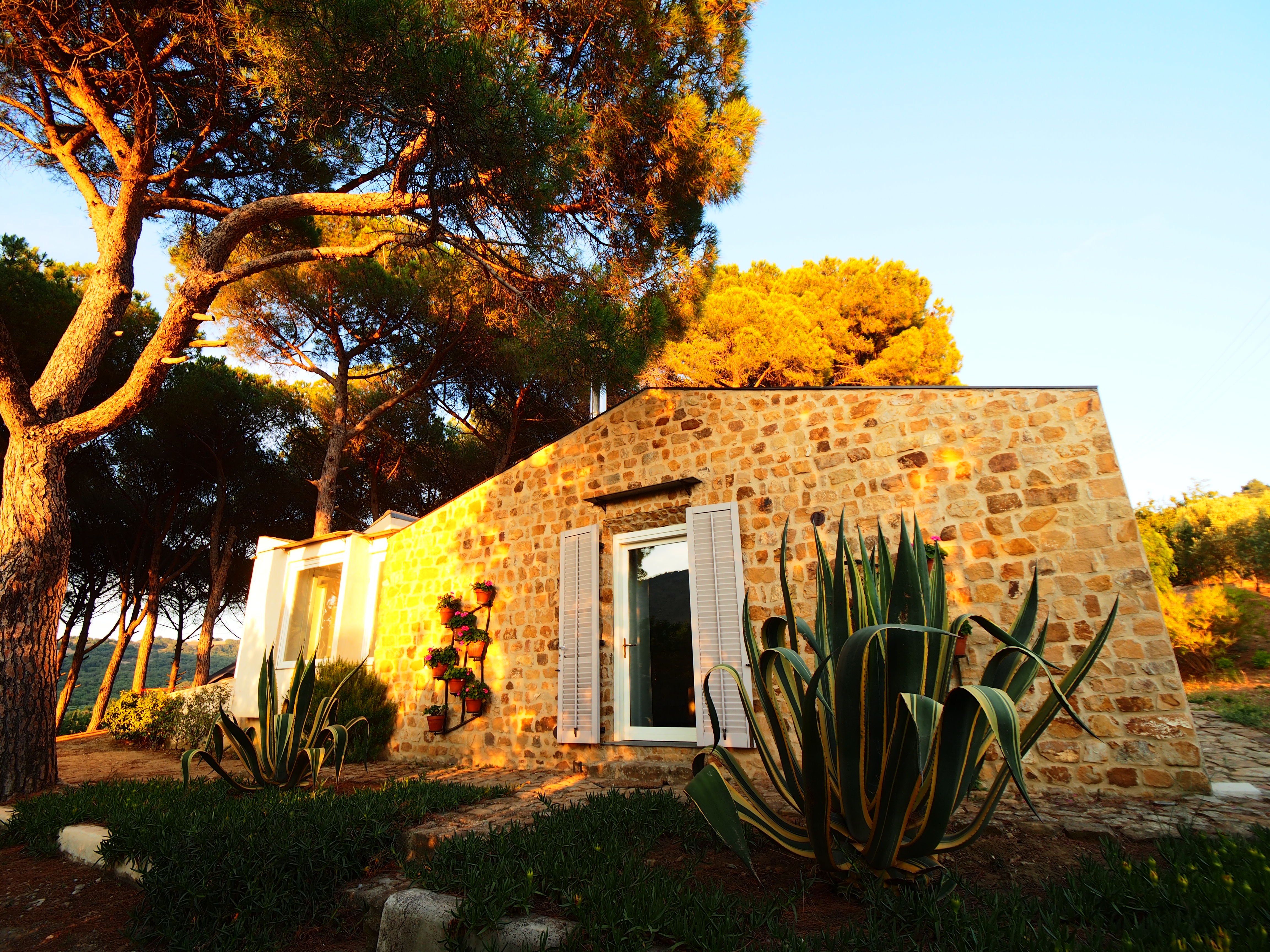 Azienda Agricola Guccione