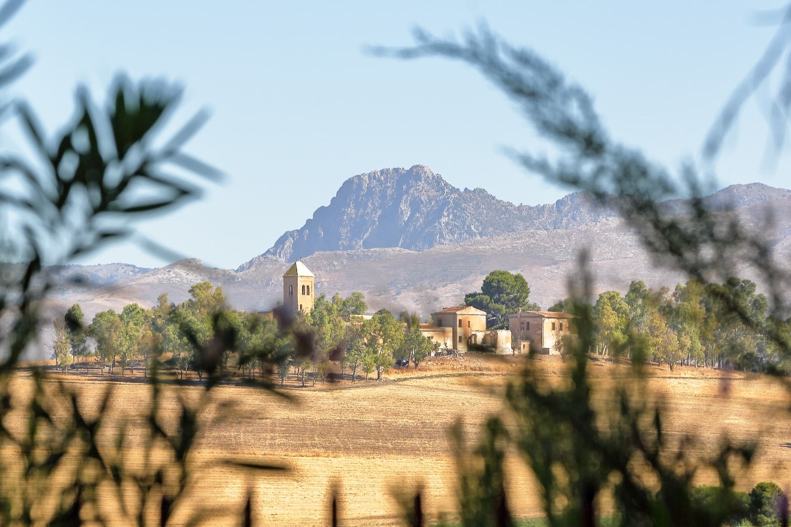 PHOTO-2024-11-22-10-03-38(4).jpg - 