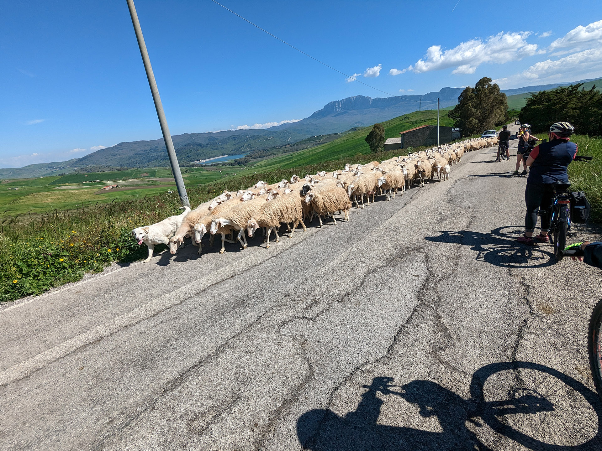 PXL_20230422_135157459.jpg - 