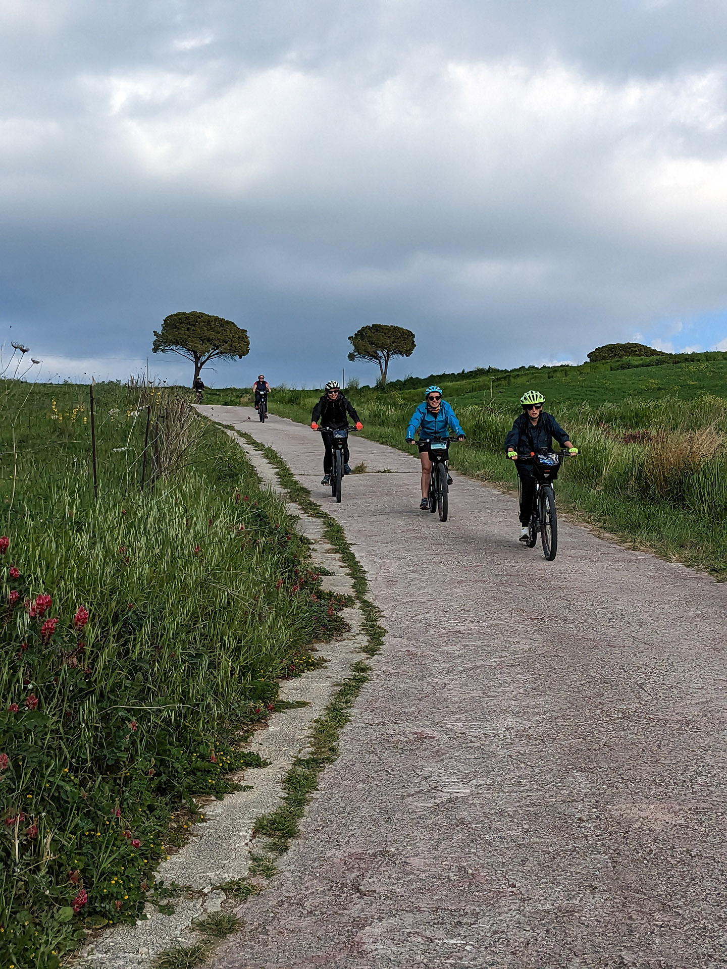 PXL_20230422_154842436.jpg - 