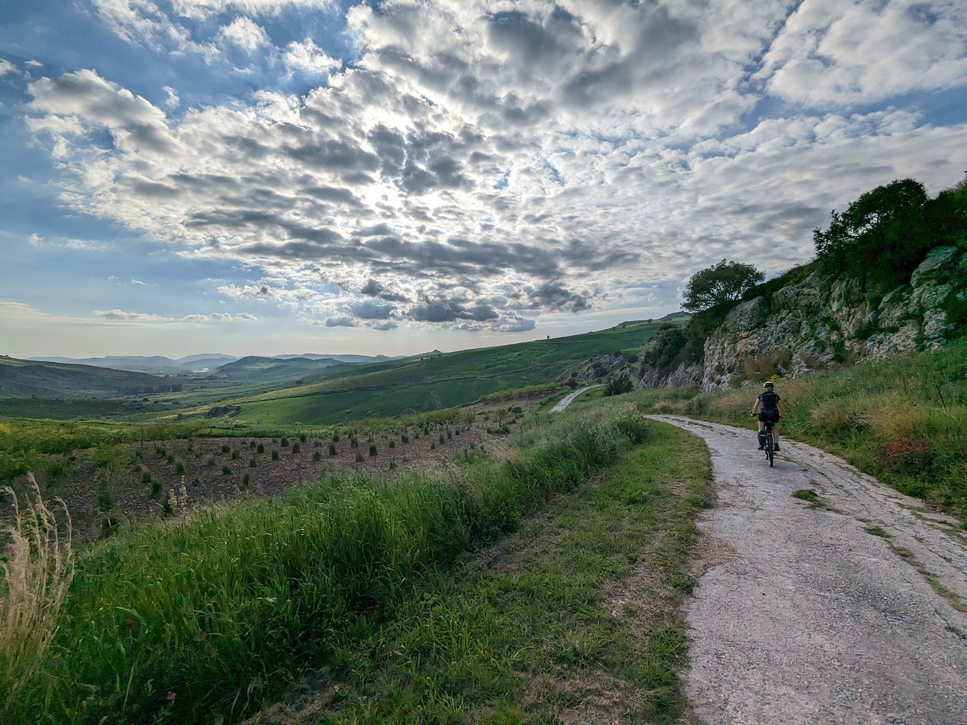 PXL_20230422_154908416.jpg - 