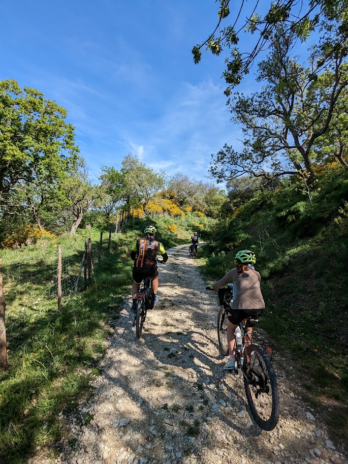 PXL_20230424_081110178.MP.jpg - 